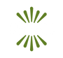 Chiwis