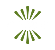Chiwis